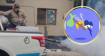 Así se vivió la crisis por dengue en NL en 2024: casos, muertes y cifras