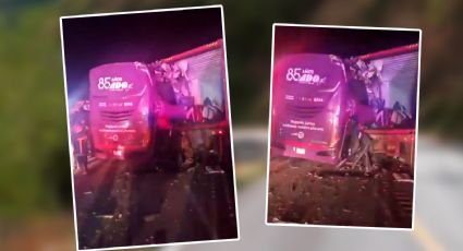 Accidente en Veracruz: choque de autobús y tráiler deja al menos 8 muertos en autopista Xalapa - Perote