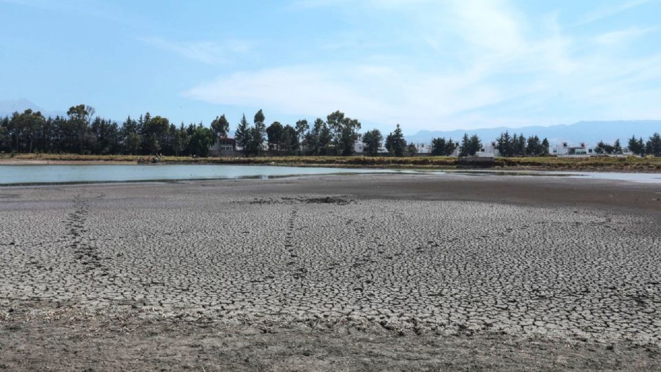 Piden que se atiendan las zonas con sequía en el país.