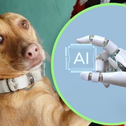 Esta es la palabra que hace más feliz a tus perros, según la inteligencia artificial