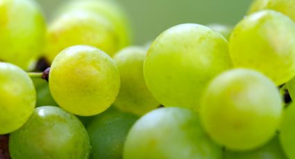 Precio de las uvas: ¿En cuánto se venden para Año Nuevo, según Profeco?