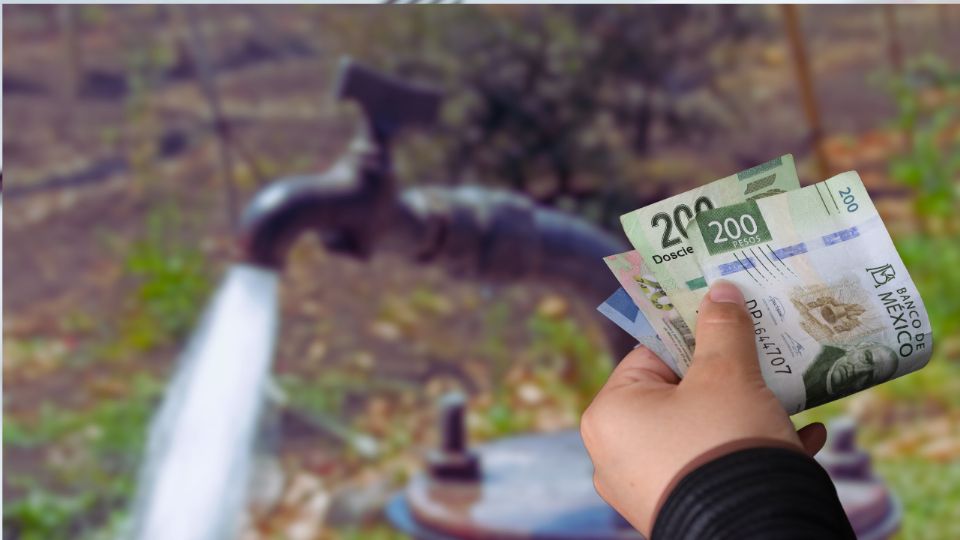 Durante este 2025, algunas personas podrán beneficiarse de grandes descuentos en el pago del agua y predial; te decimos cuánto te ahorrarás.