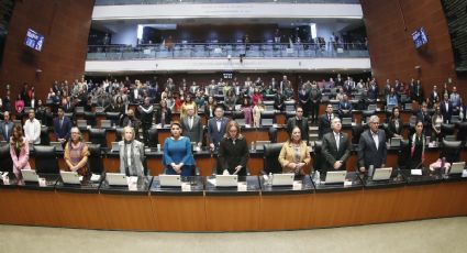 Senado de la República avala por unanimidad la Ley Silla