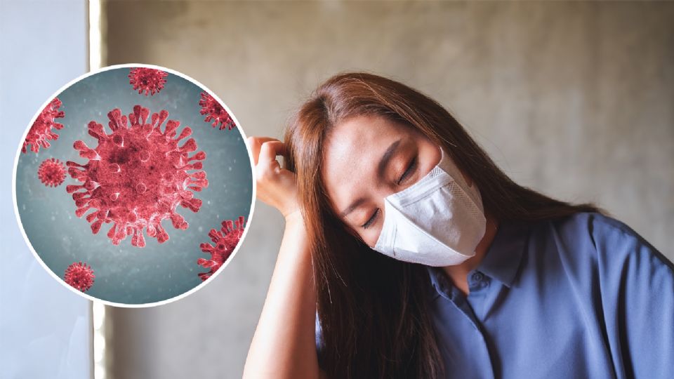 La Klebsiella Oxytoca tiende a afectar a pacientes hospitalizados, así como a recién nacidos, adultos mayores y personas inmunodeprimidas.