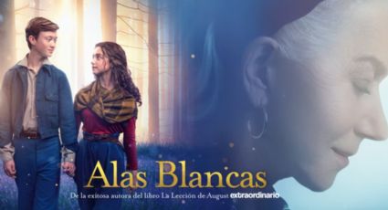 Alas Blancas: Una historia de amabilidad, amor y compasión ¿De qué trata la nueva película?