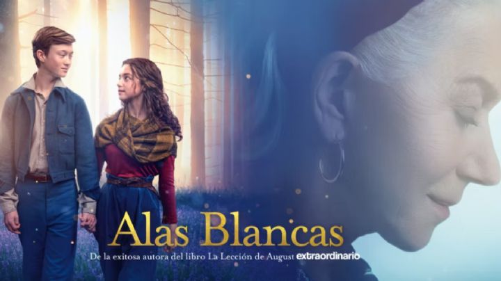 Alas Blancas: Una historia de amabilidad, amor y compasión ¿De qué trata la nueva película?