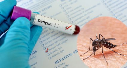 Registra Nuevo León más de 10 mil casos de dengue