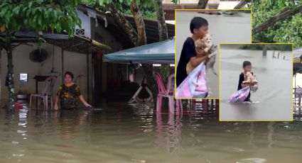 Inundaciones en Malasia: Niño rescata a gatitos que quedaron atrapados y se vuelve viral| VIDEO