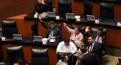 Senadores del PT piden al IMSS que diseñe una estrategia de suscripción de convenios