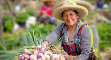 Los estados mexicanos que más se verían afectados por las amenazas arancelarias de Trump