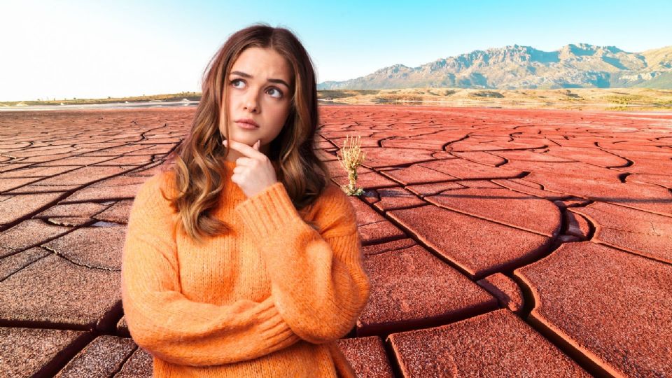 El aumento de las temperaturas y la falta de lluvias constantes han cambiado los ciclos de cultivo.