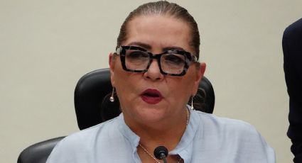 INE aplica reglas a partidos políticos sin distinción alguna: Guadalupe Taddei