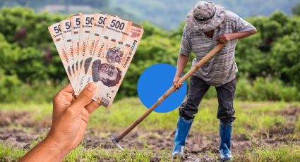 Secretaría de Agricultura ofrece vacante de trabajo con sueldo de 32 mil pesos