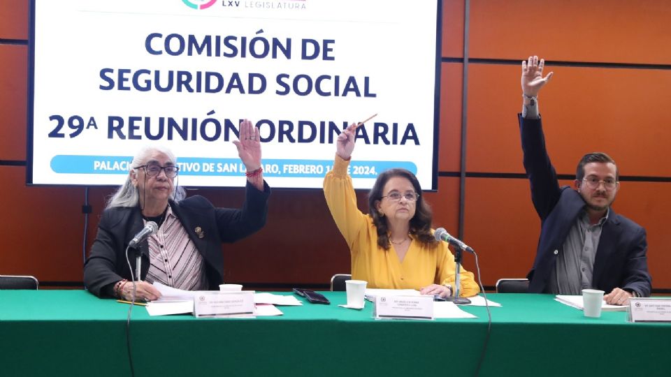 Comisión de seguridad social de la Cámara de Dipitados.