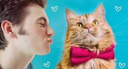 5 cosas que haces y dejan claro a tu gato que lo amas