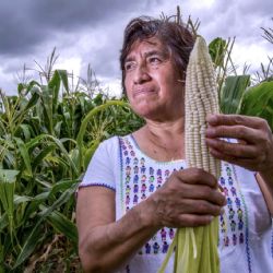 Productores agroalimentarios piden diálogo nacional; ven con preocupación la sequía