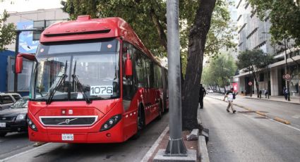 Metrobús choca en Refoma... ¡pero con una rama! (foto)