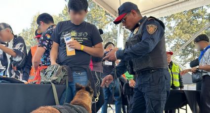 Remiten a 69 al Juez Cívico por reventa de boletos en EDC