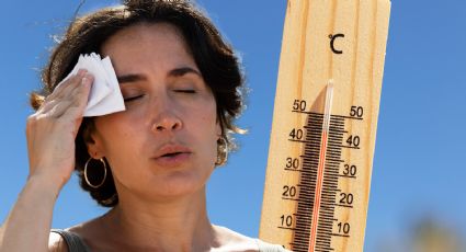 Alerta en CDMX por intenso calor: experta explica por qué pasa esto en pleno invierno