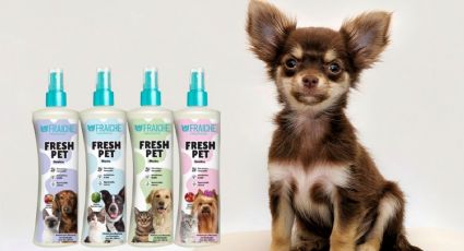 Fraiche pone perfumes para perro por menos de 90 pesos, ideales para un pelaje radiante