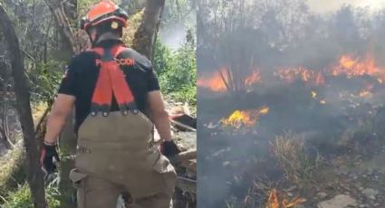 Bomberos logran sofocar incendio en el Cerro de La Silla