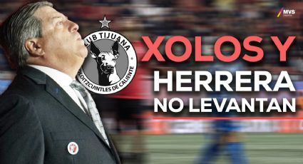 Miguel Herrera no ha logrado ganar en el Clausura 2024, esta es la razón