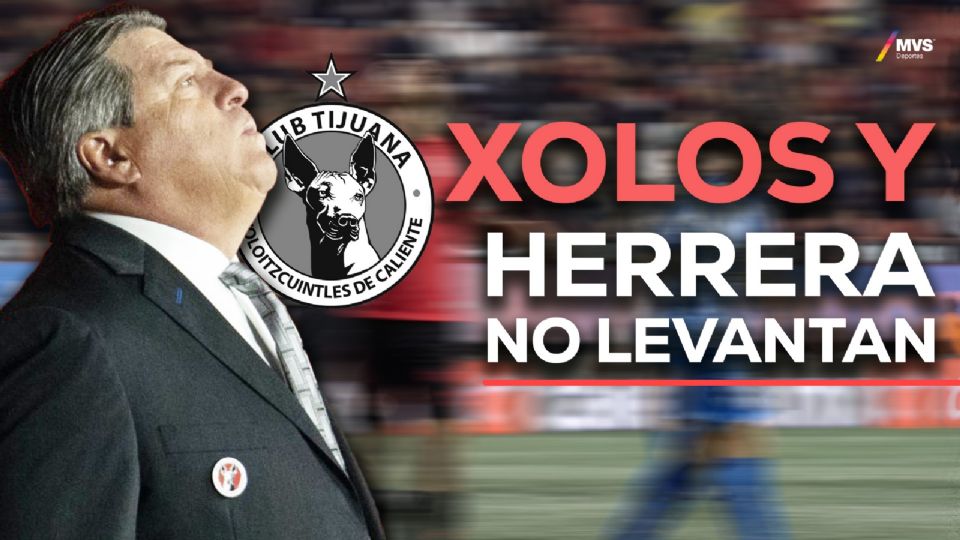 Miguel Herrera