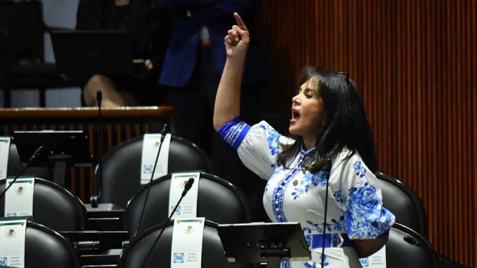 Teresa Castell, diputada federal por el PAN.