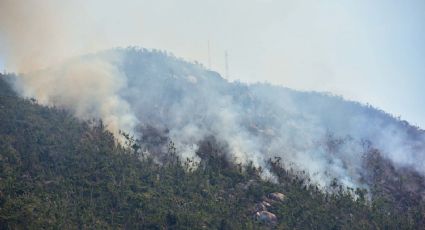 Hay 24 incendios forestales activos en nueve estados del país