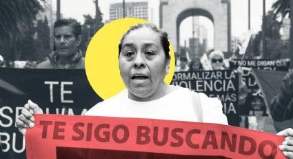 Error en el 'censo' de personas desaparecidas y falta de transparencia en el proceso: Alicia Franco