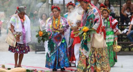 Cumbre Tajín: Conoce las rutas especiales hacia el Parque Takilhsukut