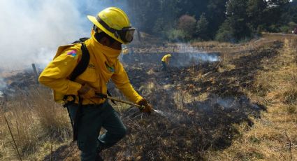 Autoridades reportan 30 incendios forestales activos en el país