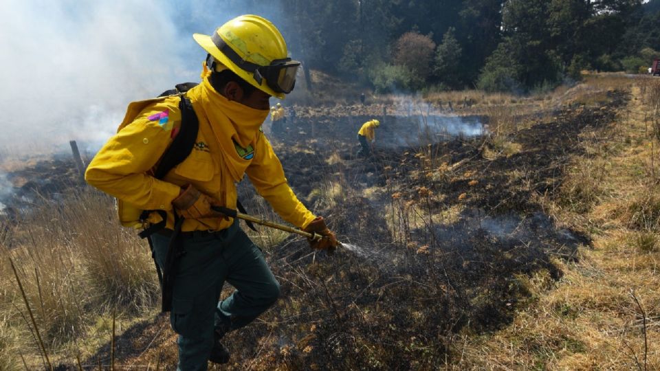 Autoridades trabajan en el control de 30 incendios forestales activos en el país