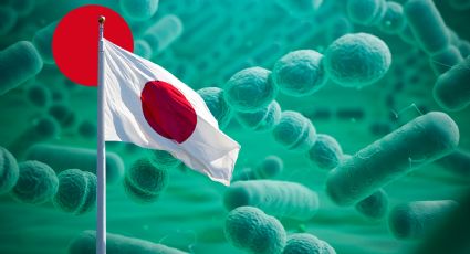 Estreptococo A: ¿Cuál es la bacteria que tiene en alerta a Japón?
