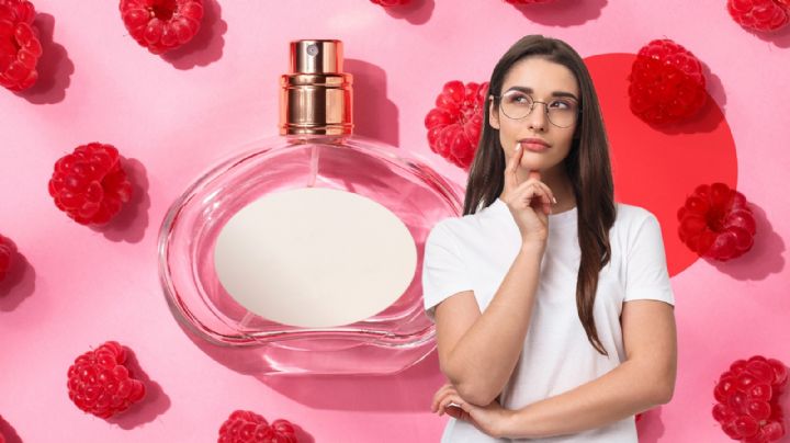 Fraiche: Perfumes de Nicho ¿Por qué elegirlos?