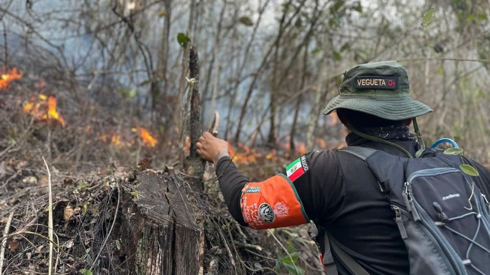 Emite Protección Civil recomendaciones para prevenir incendios forestales en el Estado de México.