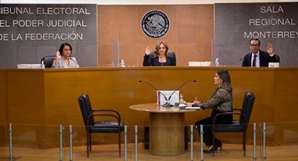 Tribunal Electoral sanciona el uso de menores en promoción política