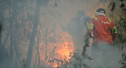 Conafor actualiza a 120 el número de incendios forestales en el país