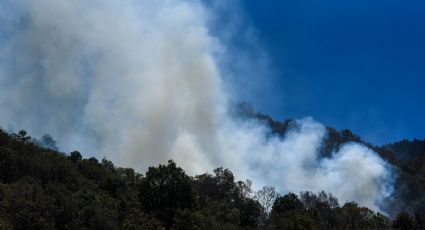 Despliegan trabajos para controlar incendio forestal en Magdalen Contreras