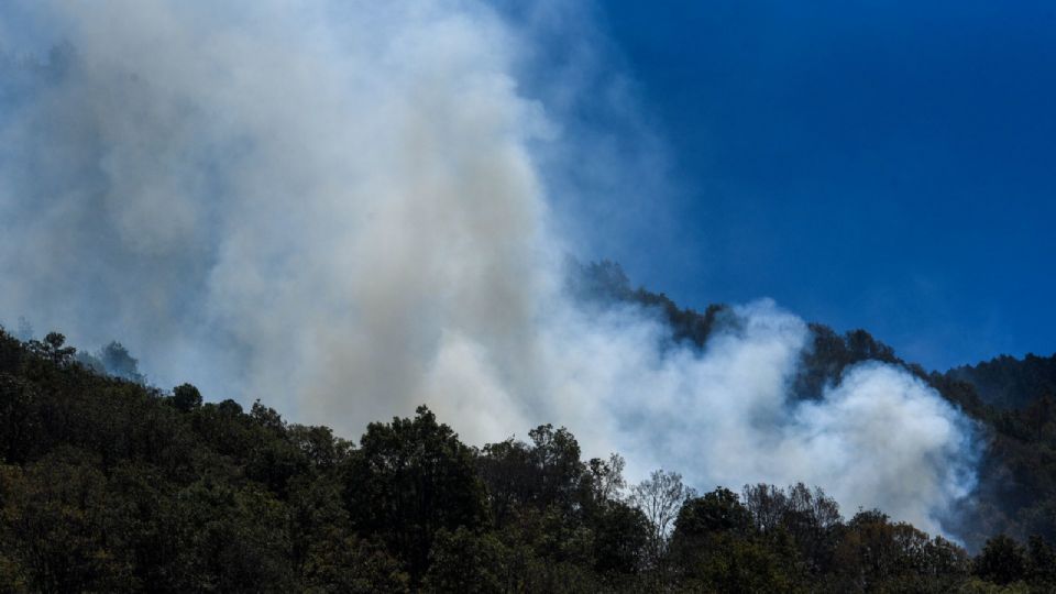 Bomberos y personal de PC de la alcaldía realizan maniobras para evitar que el fuego se extienda.