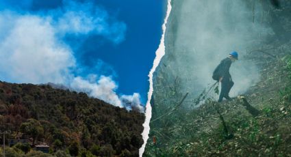Incendios forestales en México: así es como el cambio climático los favorece