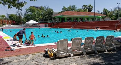 Visitan regios albercas en el Parque España