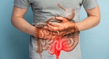 ¿Problemas intestinales? Consumir estos 3 alimentos ayudarán a tu salud