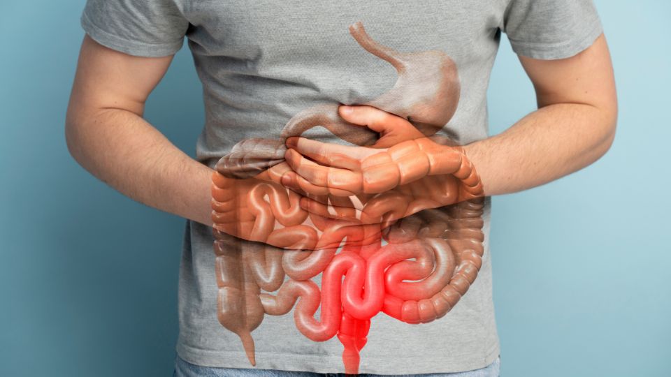 Tener una buena salud intestinal es primordial en nuesto día a día.