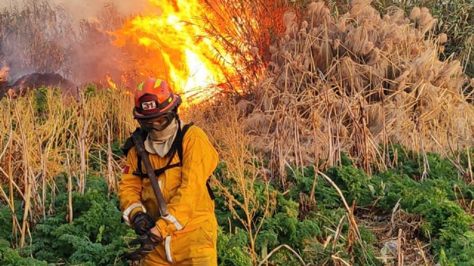 Bombero combate incendio.