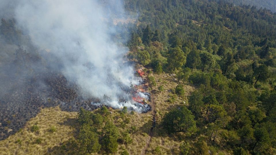 Sofocan incendios forestales en el Estado de México