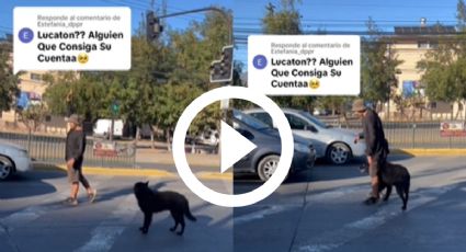 Perrito hace parkour junto a su dueño en semáforos de la calle y se vuelve viral | VIDEO