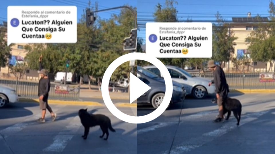 Video de joven con su perro parkour se viraliza en redes sociales.