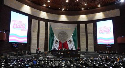 Grupo plural de igualdad sustantiva logró sacar 28 reformas: diputados