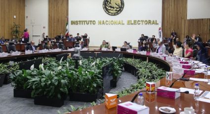 Guadalupe Taddei: INE analizará propuesta para cambiar colores institucionales